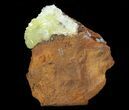 Gemmy, Yellow-Green Adamite Crystals - Durango, Mexico #65294-2